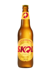 Cerveja Skol Garrafa 600ml