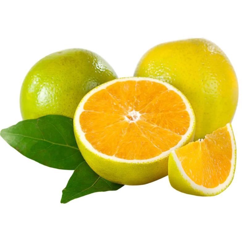Laranja Pera Citrus Kg