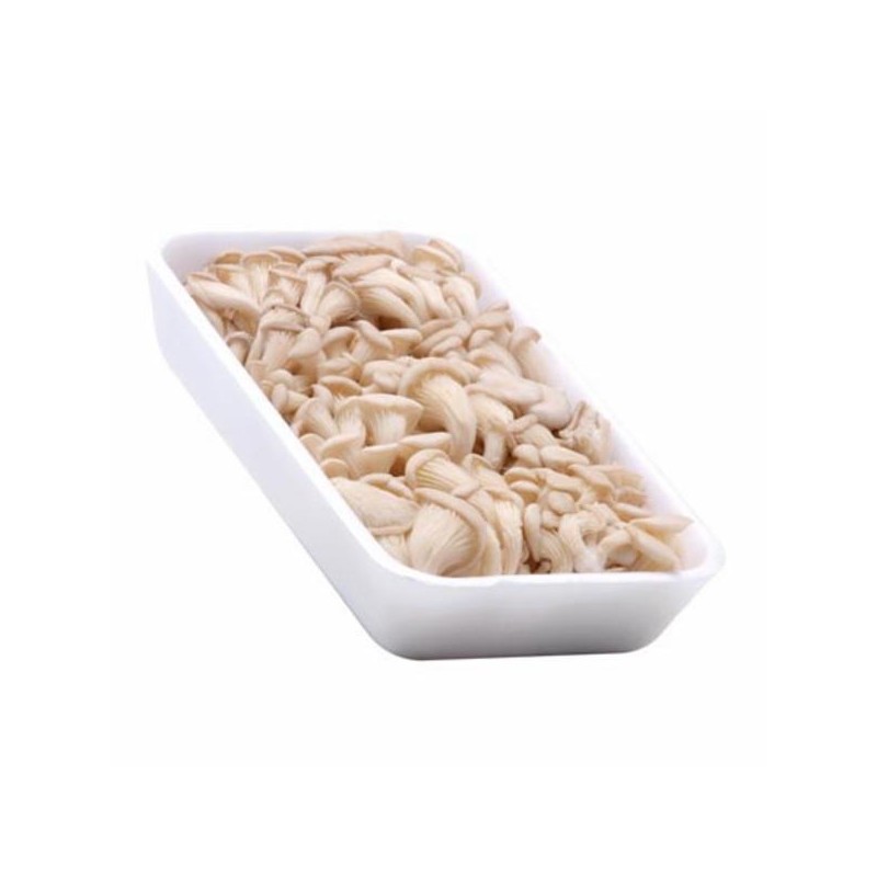 Cogumelo Kentisa Shimeji 200g
