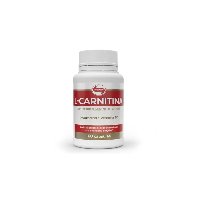 SUPL ALIM VITAFOR L-CARNITINA VIT B6