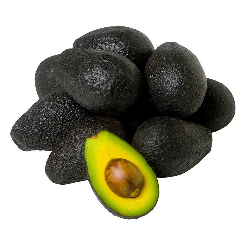 Abacate Avocado KG