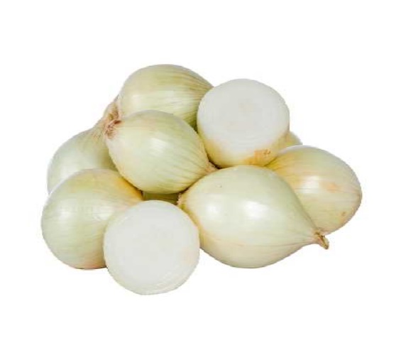 CEBOLA BRANCA