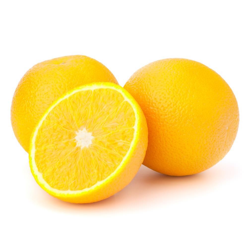 Laranja Lima da Pérsia KG