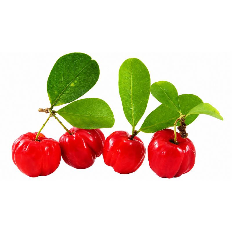 ACEROLA