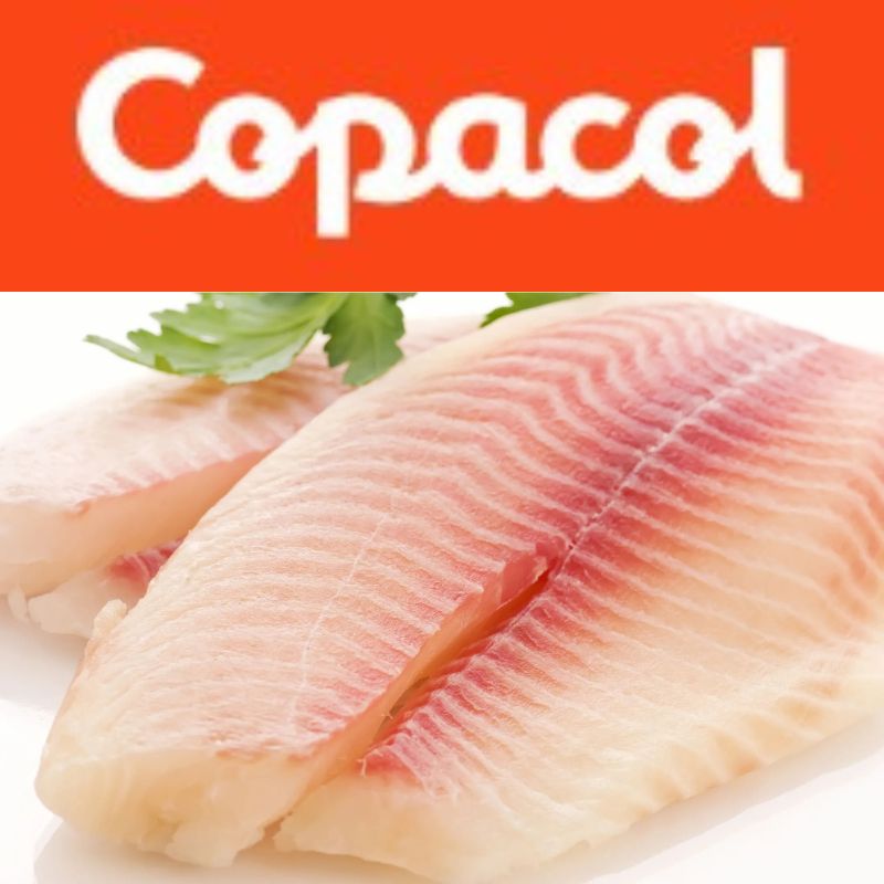 Filé Tilápia Copacol KG