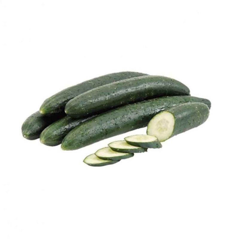 Pepino Japonês kg